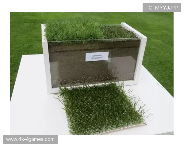 瓦伦西亚主场翻新草坪,采用混合草皮技术 瓦伦西亚主场翻新草坪,采用混合草皮技术